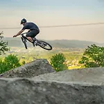 Gosciniec Skalite