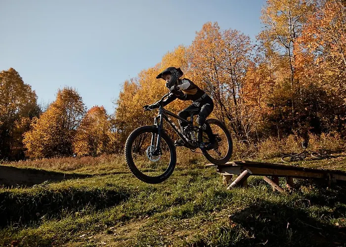 בית אירוח Gosciniec Skalite Godziszka